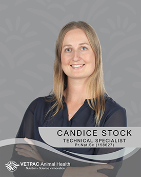 Candice Stock